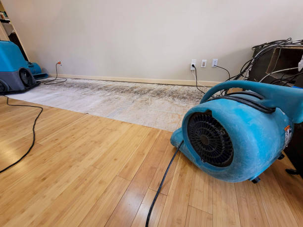 Professional Ceiling Water Damage Repair technician working in Albany, WI