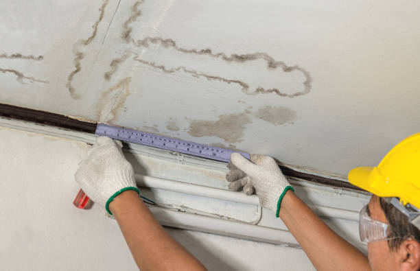 Affordable Ceiling Water Damage Repair solutions in Albany, WI